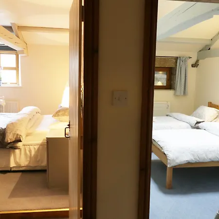 Barn Owl Pateley Bridge