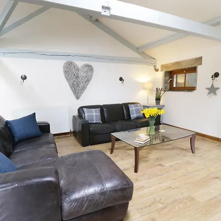 Barn Owl Pateley Bridge